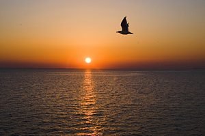 DSC 0037 2006 37 scaled